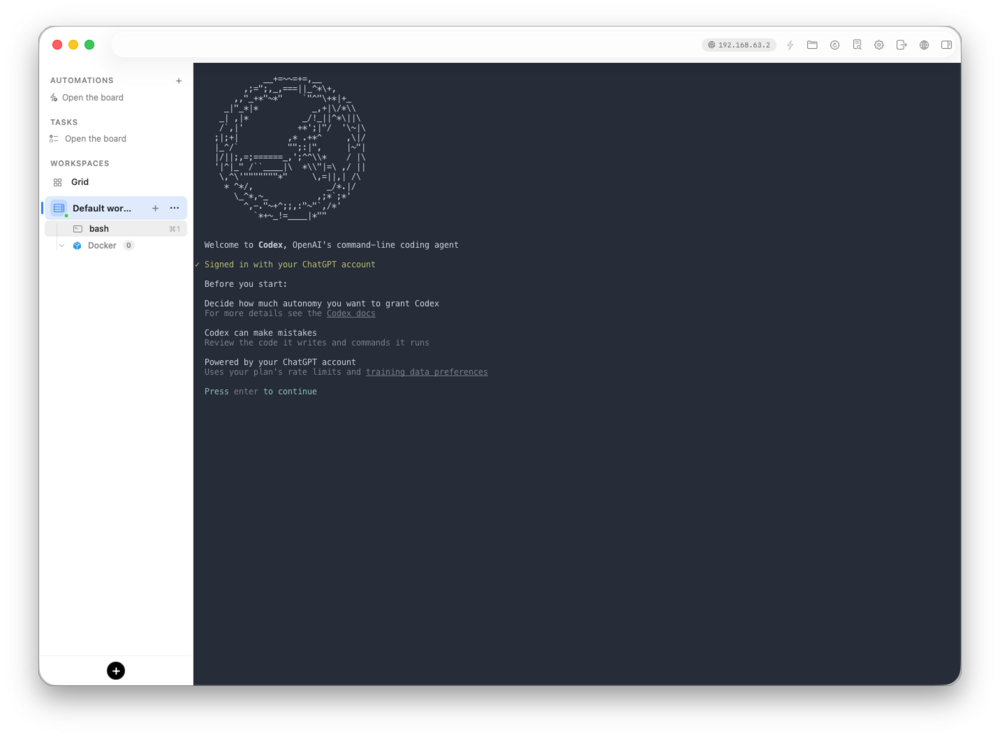 Codex authentication inside the workspace