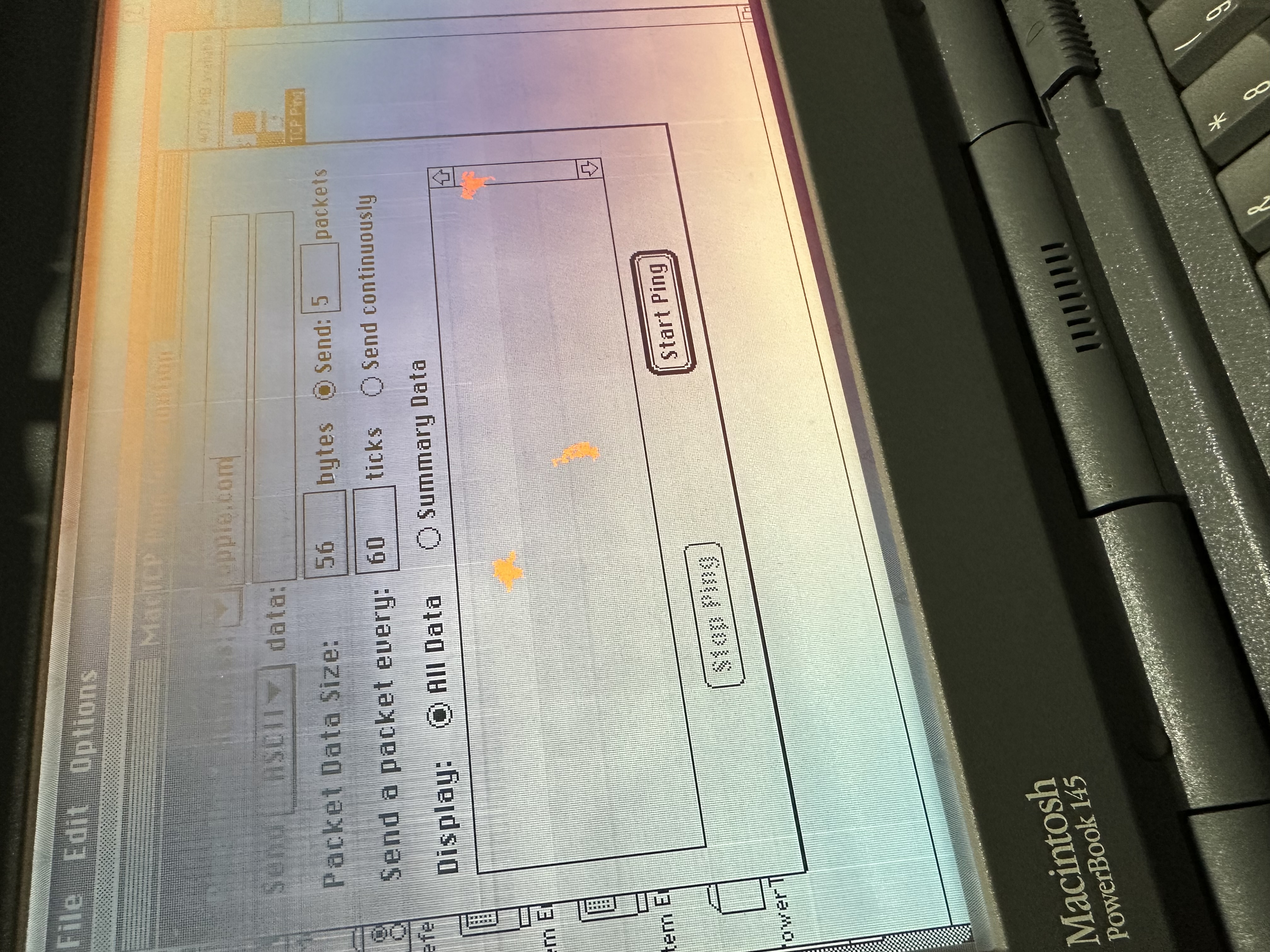 MacTCP Ping configured to test apple.com through DaynaPORT