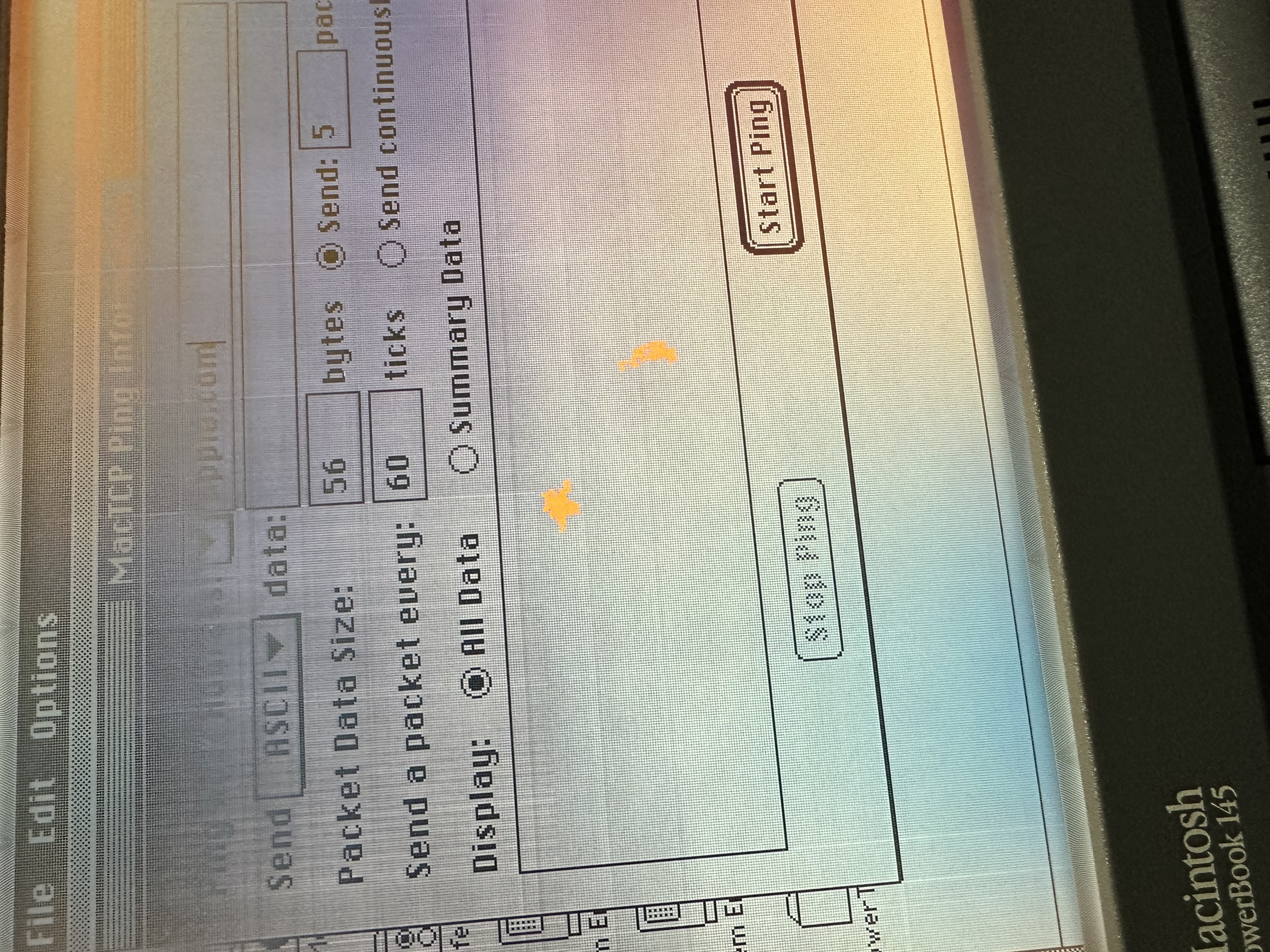 MacTCP Ping ready to send packets after DaynaPORT network configuration