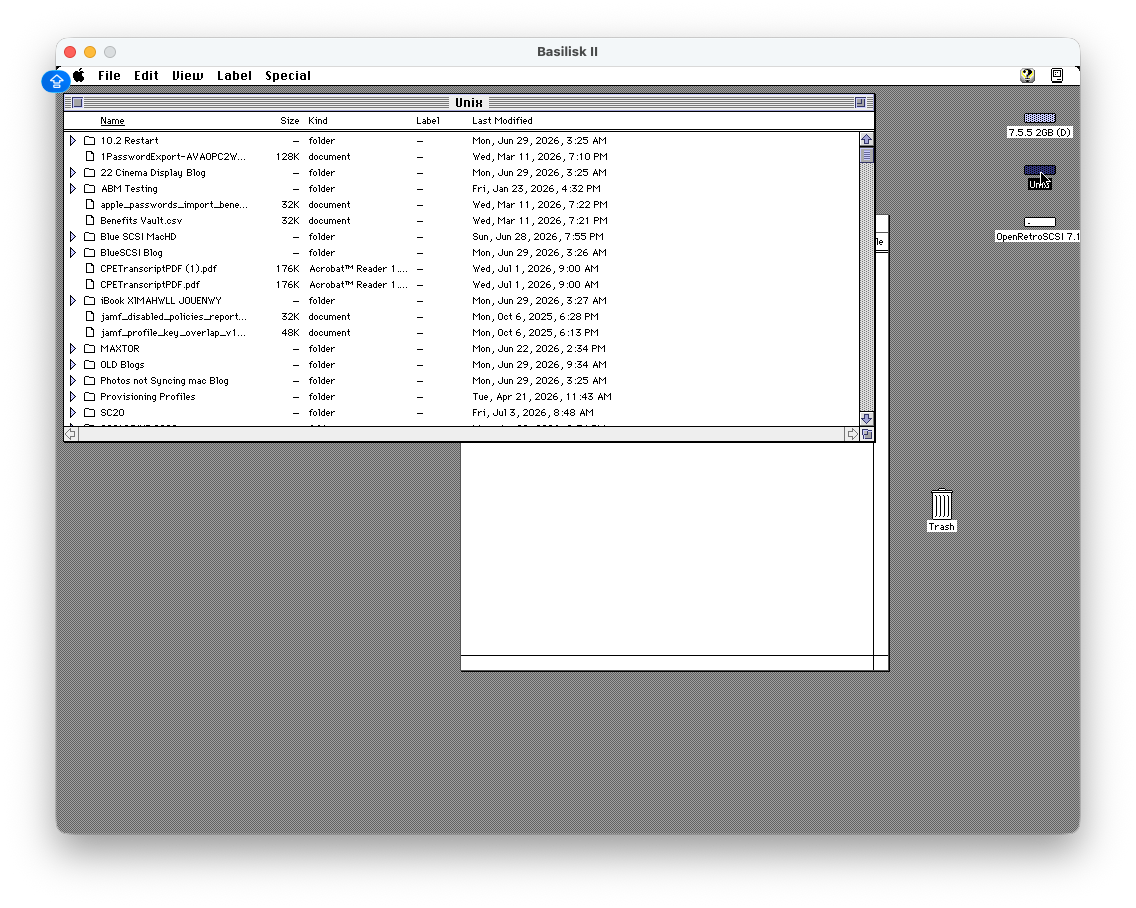 Basilisk II Unix shared folder window showing modern Mac Downloads contents including Blue SCSI MacHD