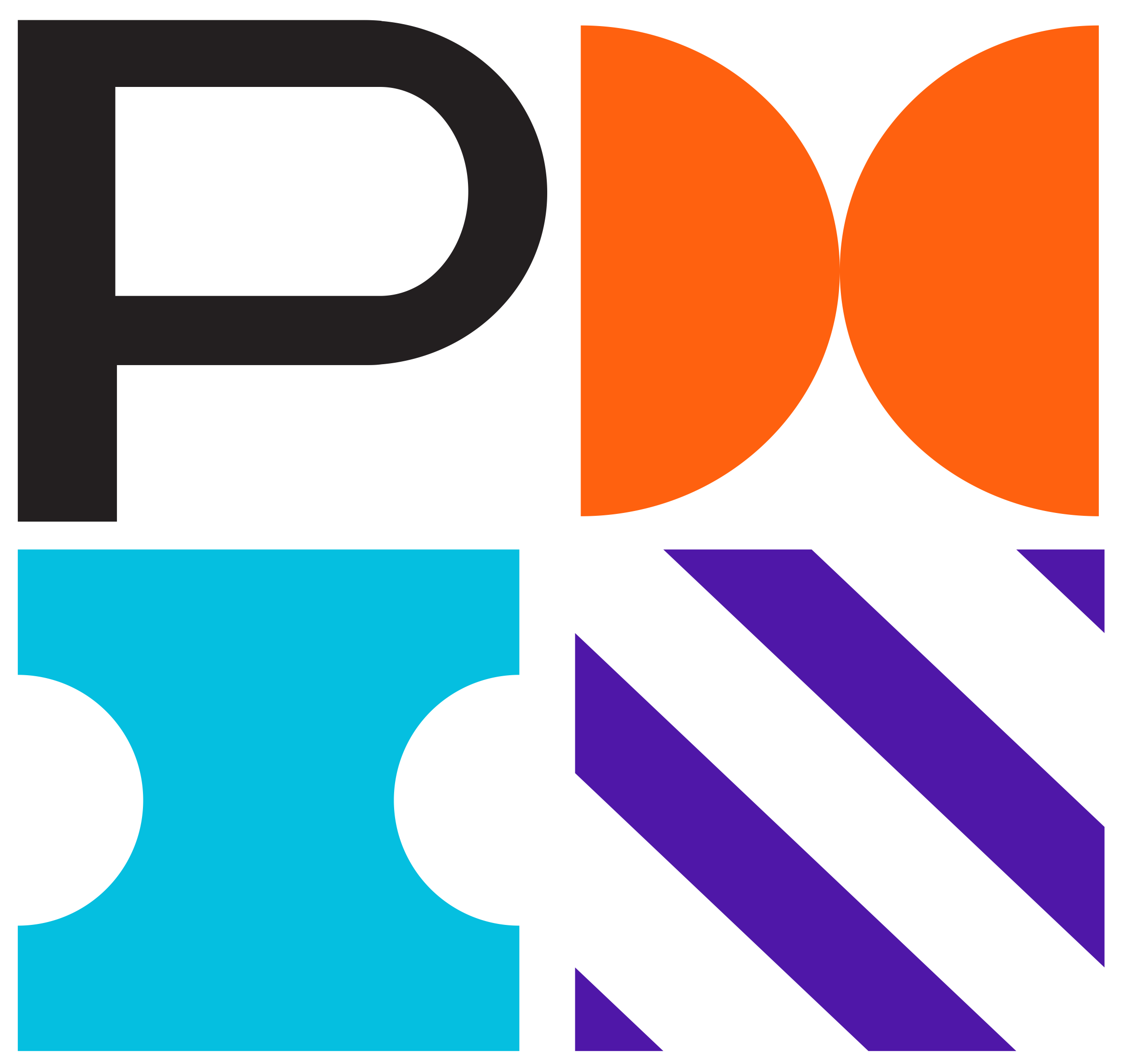 Project Management Professional