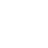 Project Management Professional